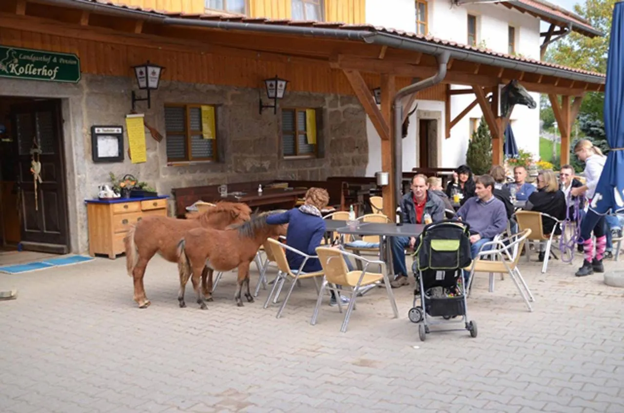 Kollerhof Guest House Neunburg vorm Wald 0*,  Germany